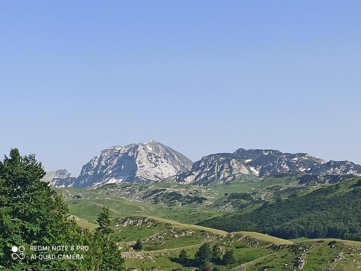 Hotel Katun Ljeljenak Plužine Exteriér fotografie