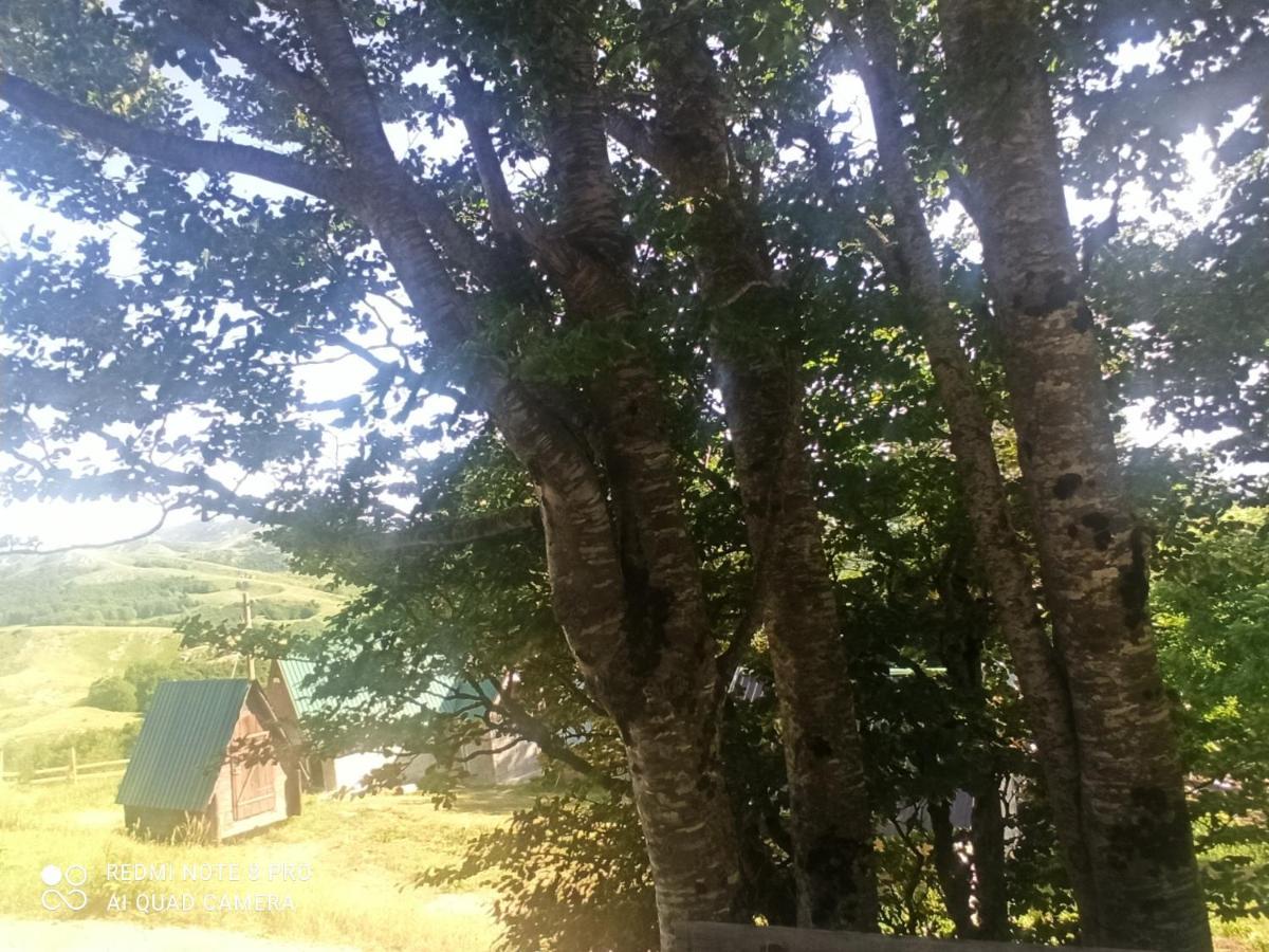 Hotel Katun Ljeljenak Plužine Exteriér fotografie