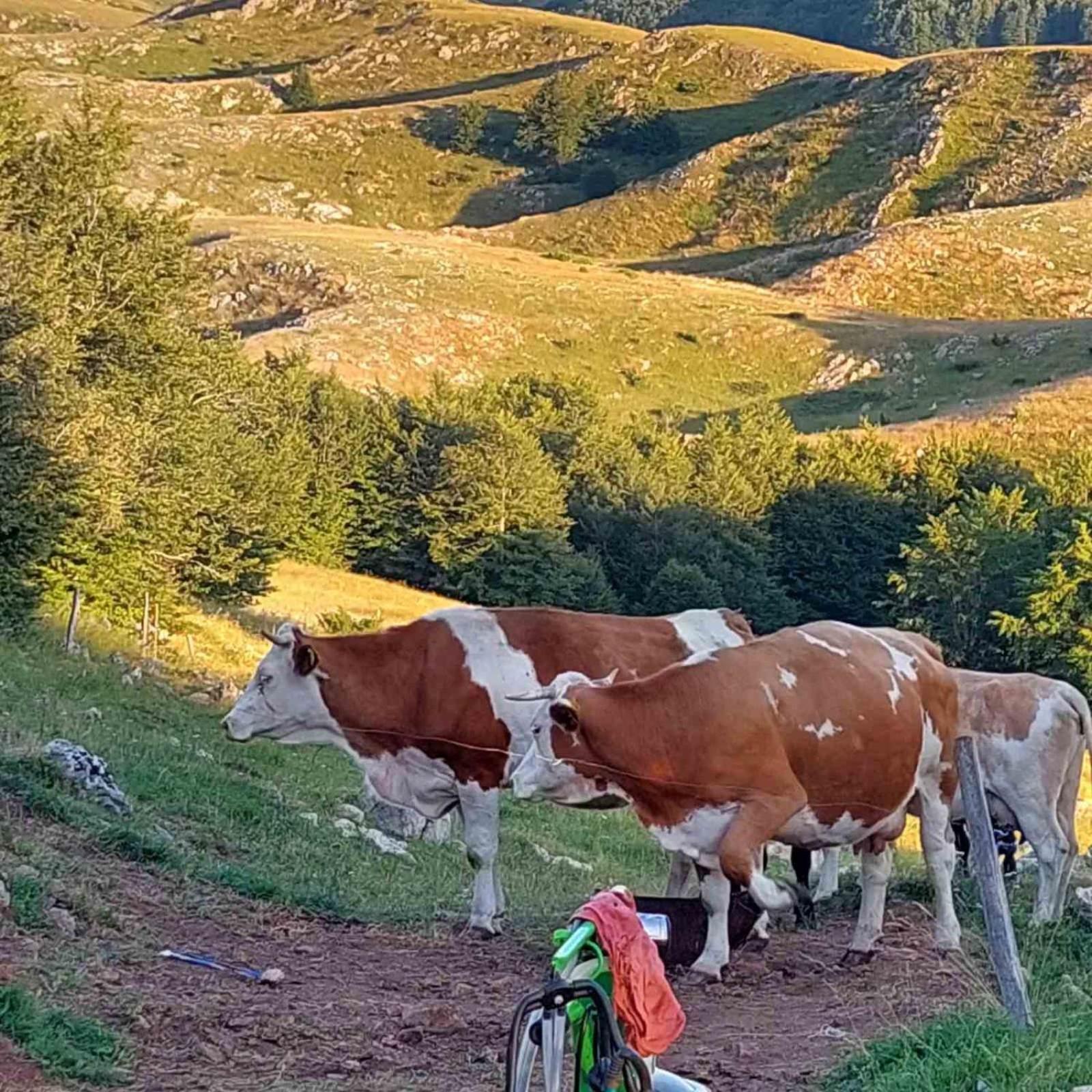 Hotel Katun Ljeljenak Plužine Exteriér fotografie