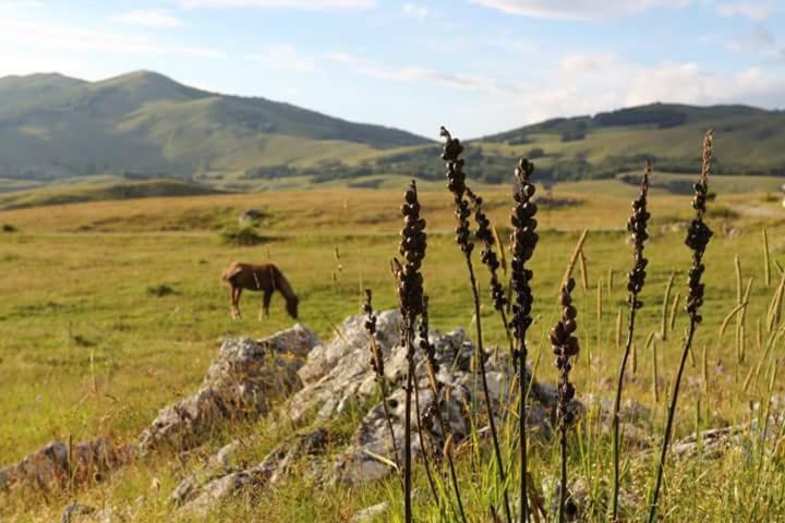 Hotel Katun Ljeljenak Plužine Exteriér fotografie
