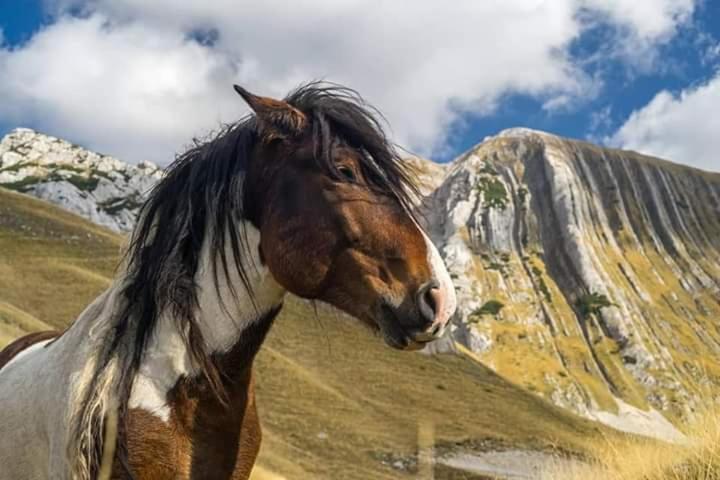 Hotel Katun Ljeljenak Plužine Exteriér fotografie